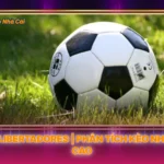 Giai Copa Libertadores Phan Tich Keo Nha Cai Dinh Cao