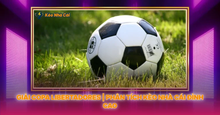 Giai Copa Libertadores Phan Tich Keo Nha Cai Dinh Cao
