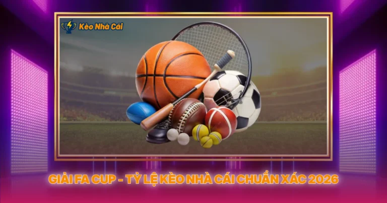 Giai Fa Cup Ty Le Keo Nha Cai Chun Xac 2026