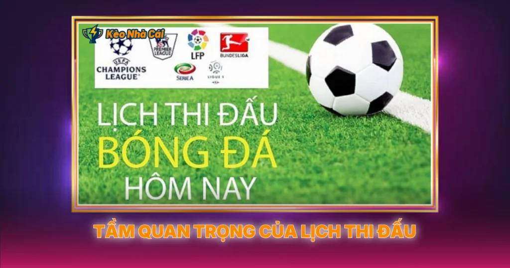 Tam Quan Trong Cua Lich Thi Dau