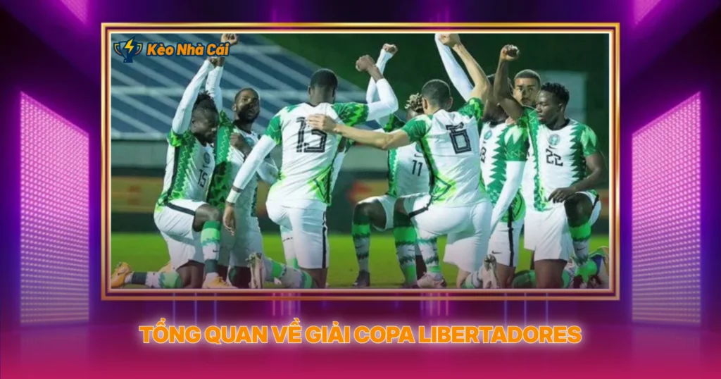 Tong Quan Ve Giai Copa Libertadores