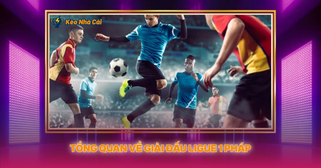 Tong Quan Ve Giai Dau Ligue 1 Phap