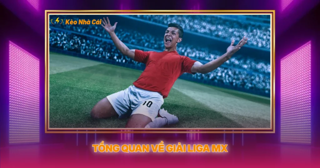 Tong Quan Ve Giai Liga Mx