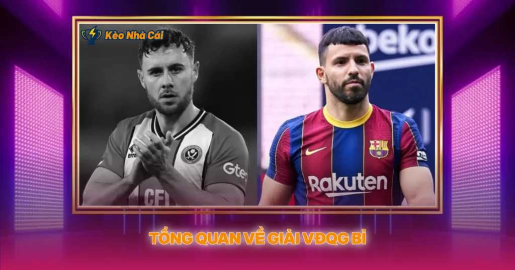 Tong Quan Ve Giai Vdqg Bi