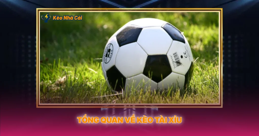 Tong Quan Ve Keo Tai Xiu
